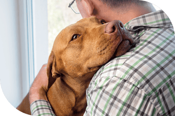 Person hugging a dog