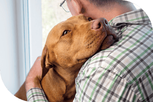 Person hugging a dog