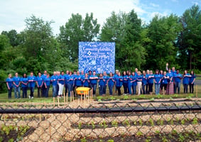 HAI Group staff volunteering at a community garden