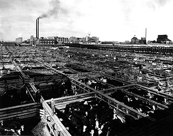 Union Stockyards, South St. Paul, c. 1925