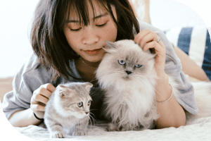 Person petting cats